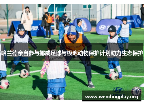 哈兰德亲自参与挪威足球与极地动物保护计划助力生态保护 哈兰德亲自参与挪威足球与极地动物保护计划助力生态保护