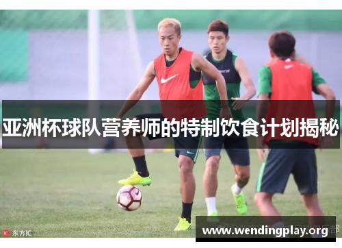 亚洲杯球队营养师的特制饮食计划揭秘 亚洲杯球队营养师的特制饮食计划揭秘