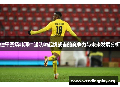 德甲赛场非拜仁强队崛起挑战者的竞争力与未来发展分析 德甲赛场非拜仁强队崛起挑战者的竞争力与未来发展分析