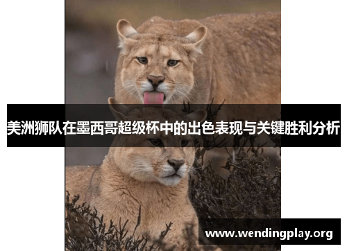 美洲狮队在墨西哥超级杯中的出色表现与关键胜利分析 美洲狮队在墨西哥超级杯中的出色表现与关键胜利分析