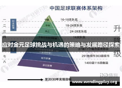 应对金元足球挑战与机遇的策略与发展路径探索 应对金元足球挑战与机遇的策略与发展路径探索