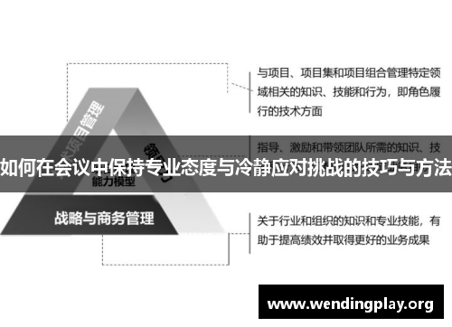 如何在会议中保持专业态度与冷静应对挑战的技巧与方法 如何在会议中保持专业态度与冷静应对挑战的技巧与方法