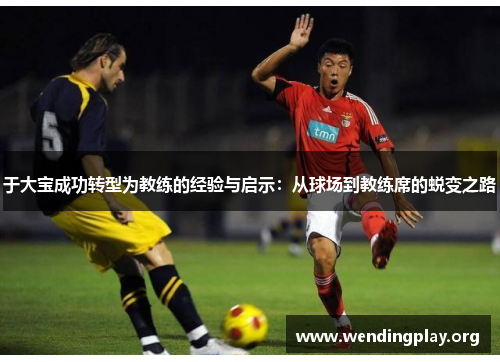 于大宝成功转型为教练的经验与启示:从球场到教练席的蜕变之路 于大宝成功转型为教练的经验与启示:从球场到教练席的蜕变之路