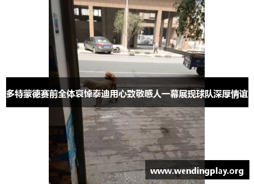 多特蒙德赛前全体哀悼泰迪用心致敬感人一幕展现球队深厚情谊 多特蒙德赛前全体哀悼泰迪用心致敬感人一幕展现球队深厚情谊