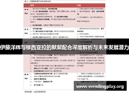 伊藤洋辉与穆西亚拉的默契配合深度解析与未来发展潜力