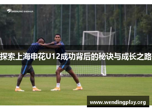 探索上海申花U12成功背后的秘诀与成长之路