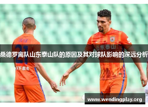 桑德罗离队山东泰山队的原因及其对球队影响的深远分析 桑德罗离队山东泰山队的原因及其对球队影响的深远分析