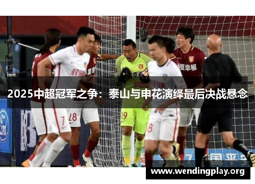 2025中超冠军之争：泰山与申花演绎最后决战悬念
