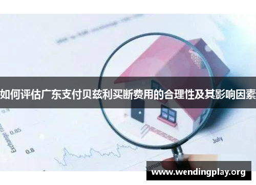如何评估广东支付贝兹利买断费用的合理性及其影响因素 如何评估广东支付贝兹利买断费用的合理性及其影响因素