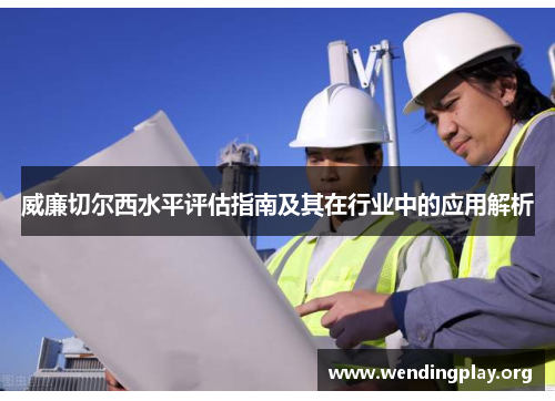 威廉切尔西水平评估指南及其在行业中的应用解析