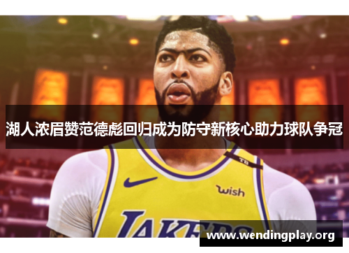 湖人浓眉赞范德彪回归成为防守新核心助力球队争冠