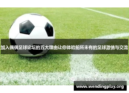 加入偶偶足球论坛的五大理由让你体验前所未有的足球激情与交流 加入偶偶足球论坛的五大理由让你体验前所未有的足球激情与交流