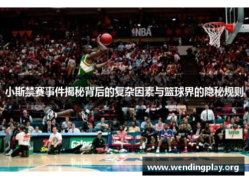 小斯禁赛事件揭秘背后的复杂因素与篮球界的隐秘规则 小斯禁赛事件揭秘背后的复杂因素与篮球界的隐秘规则