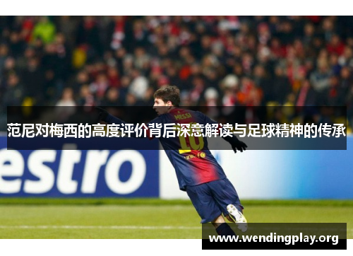 范尼对梅西的高度评价背后深意解读与足球精神的传承 范尼对梅西的高度评价背后深意解读与足球精神的传承