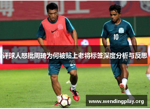 评球人怒批周琦为何被贴上老将标签深度分析与反思 评球人怒批周琦为何被贴上老将标签深度分析与反思
