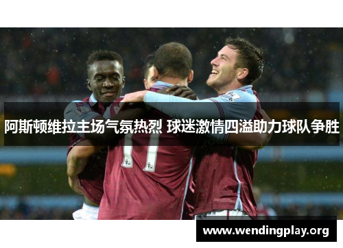 阿斯顿维拉主场气氛热烈 球迷激情四溢助力球队争胜 阿斯顿维拉主场气氛热烈 球迷激情四溢助力球队争胜